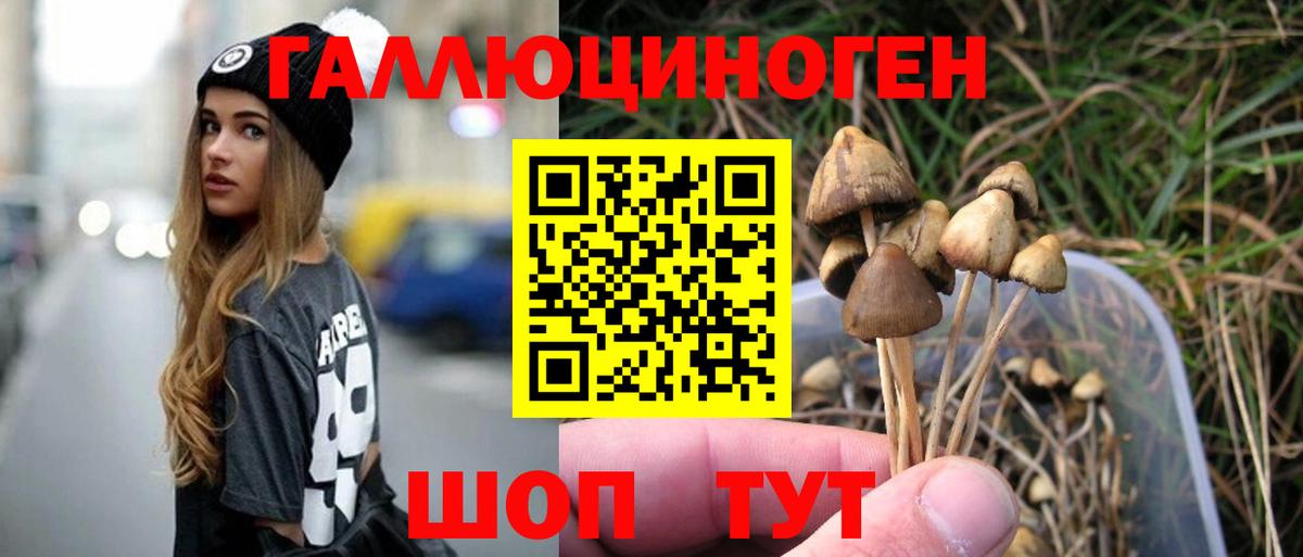 Псилоцибиновые грибы Psilocybe  Вход с VPN  Псилоцибиновые грибы GOLDEN TEACHER  Ачинск 